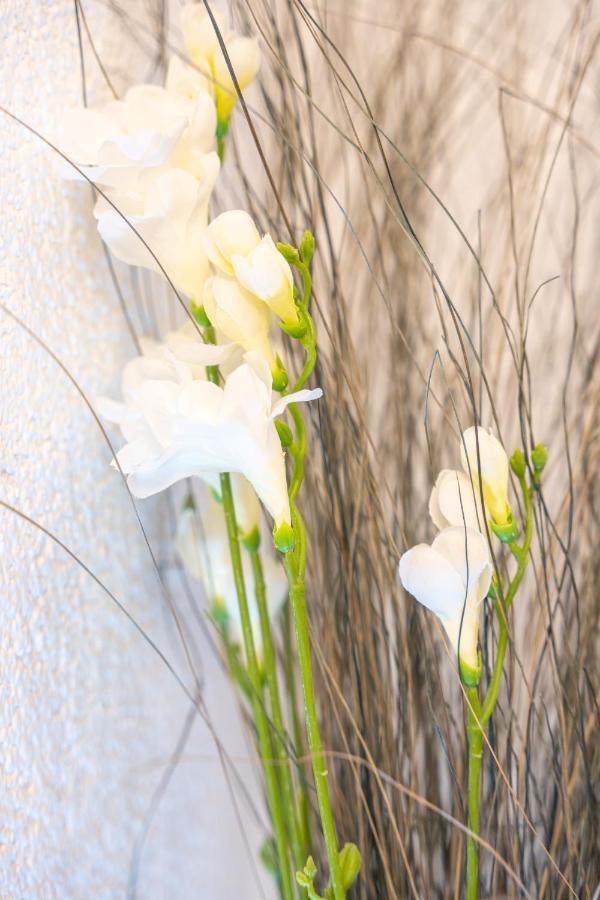 #2 Grosses Zimmer Mit Pool Und Garten 梅明根 外观 照片
